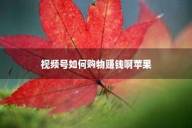 视频号如何购物赚钱啊苹果