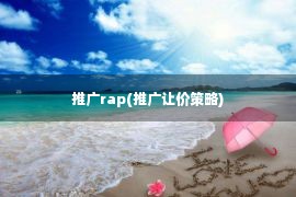 推广rap(推广让价策略)