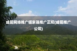 咸阳网络推广哪家强推广正规(咸阳推广公司)