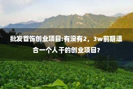 批发首饰创业项目:有没有2，3w前期适合一个人干的创业项目？