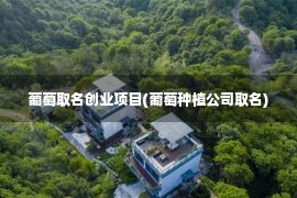 葡萄取名创业项目(葡萄种植公司取名)