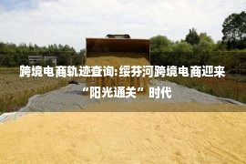 跨境电商轨迹查询:绥芬河跨境电商迎来“阳光通关”时代