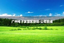 广州电子发票区块链:公司前线