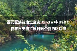 西元区块链地址查询:Circle 将 USDC 稳定币支持扩展到五个新的区块链