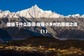 城镇干什么赚钱:掘掘小乡村的赔钱之讲（1）