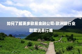 如何了解更多欧易金融公司:欧洲银行业联盟说易行难