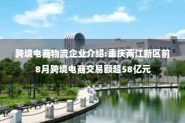 跨境电商物流企业介绍:重庆两江新区前8月跨境电商交易额超58亿元