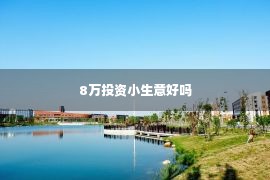 8万投资小生意好吗