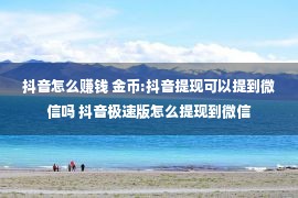 抖音怎么赚钱 金币:抖音提现可以提到微信吗 抖音极速版怎么提现到微信