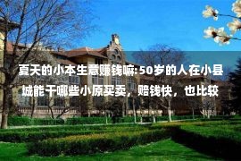 夏天的小本生意赚钱嘛:50岁的人在小县城能干哪些小原买卖，赔钱快，也比较妥当？