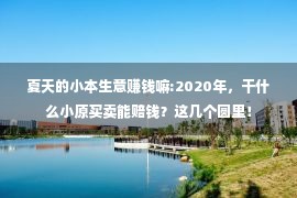 夏天的小本生意赚钱嘛:2020年，干什么小原买卖能赔钱？这几个圆里！