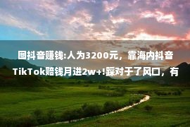 图抖音赚钱:人为3200元，靠海内抖音TikTok赔钱月进2w+!踩对于了风口，有多赔钱？