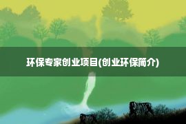 环保专家创业项目(创业环保简介)