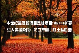 本世纪最赚钱项目是啥项目:REITs扩募进入实操阶段：蛇口产园、红土盐田港两REITs扩募申请获深交所受理