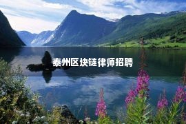 泰州区块链律师招聘