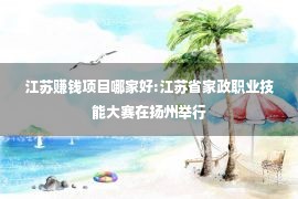 江苏赚钱项目哪家好:江苏省家政职业技能大赛在扬州举行