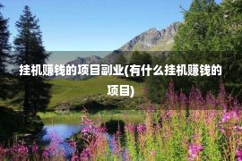 挂机赚钱的项目副业(有什么挂机赚钱的项目)