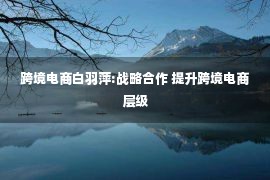 跨境电商白羽萍:战略合作 提升跨境电商层级