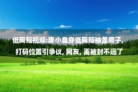 低胸短视频:唐小鱼穿低胸短袖盖房子, 打码位置引争议, 网友, 离被封不远了