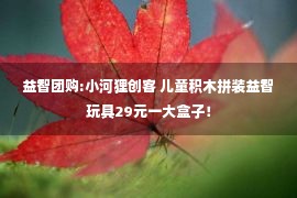 益智团购:小河狸创客 儿童积木拼装益智玩具29元一大盒子！