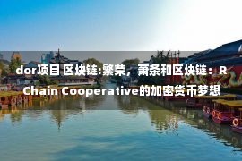 dor项目 区块链:繁荣，萧条和区块链：RChain Cooperative的加密货币梦想陷入争议