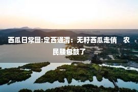 西瓜日常图:定西通渭：无籽西瓜走俏　农民腰包鼓了