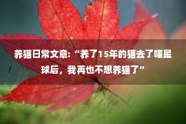 养猫日常文章:“养了15年的猫去了喵星球后，我再也不想养猫了”