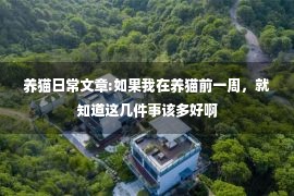 养猫日常文章:如果我在养猫前一周，就知道这几件事该多好啊