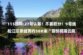 115团购:27号认筹！不要积分！9号线松江印象城旁约300米“首创禧瑞云庭”过会均价5.8万/㎡！将推约87