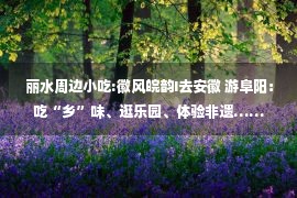 丽水周边小吃:徽风皖韵I去安徽 游阜阳：吃“乡”味、逛乐园、体验非遗……