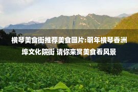 横琴美食街推荐美食图片:明年横琴香洲埠文化院街 请你来赏美食看风景