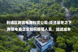 利通区跨境电商物流公司:经济寒冬之下跨境电商企业如何精简人员，缩减成本，提高效率呢？