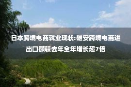 日本跨境电商就业现状:雄安跨境电商进出口额较去年全年增长超7倍