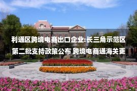 利通区跨境电商出口企业:长三角示范区第二批支持政策公布 跨境电商通海关更便利