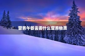 营养午餐需要什么营养物质