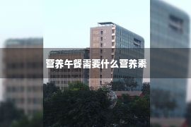 营养午餐需要什么营养素