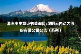 澳洲小生意证书查询网:昆明云内动力股份有限公司公告（系列）