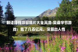 翻译赚钱项目图片大全高清:复盘字节游戏：氪了几百亿元，没算出人性