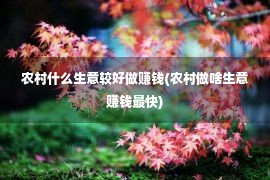 农村什么生意较好做赚钱(农村做啥生意赚钱最快)