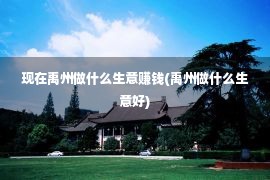 现在禹州做什么生意赚钱(禹州做什么生意好)