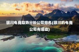 银川电商趋势分析公司排名(银川的电商公司有哪些)