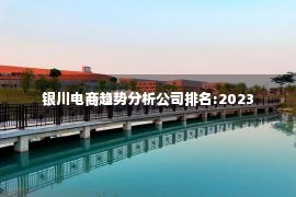 银川电商趋势分析公司排名:2023