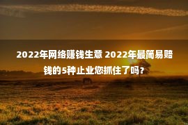 2022年网络赚钱生意 2022年最简易赔钱的5种止业您抓住了吗？