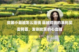 贫困小县城怎么赚钱 县城赔钱的暴利买卖背面，发割贫民的心血钱