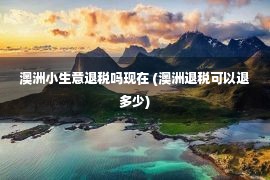 澳洲小生意退税吗现在 (澳洲退税可以退多少)