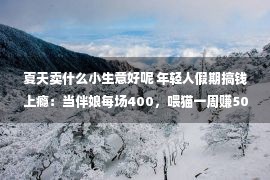 夏天卖什么小生意好呢 年轻人假期搞钱上瘾：当伴娘每场400，喂猫一周赚5000