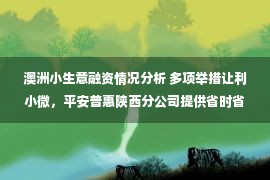 澳洲小生意融资情况分析 多项举措让利小微，平安普惠陕西分公司提供省时省心省钱融资服务