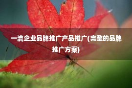 一流企业品牌推广产品推广(完整的品牌推广方案)