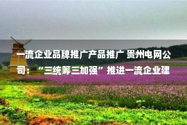 一流企业品牌推广产品推广 贵州电网公司：“三统筹三加强”推进一流企业建设