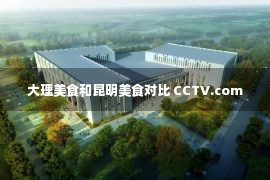 大理美食和昆明美食对比 CCTV.com